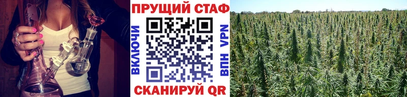 Наркошоп купить Кодеин  Псилоцибиновые грибы  Меф  Марихуана  ГАШ  Острогожск