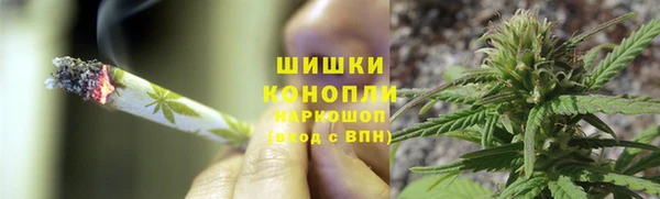 СК Бородино