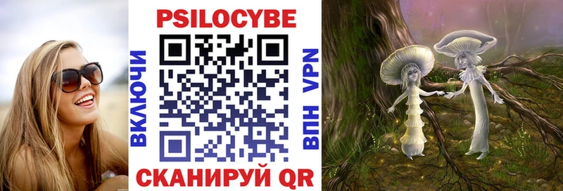 Купить закладки  Острогожск  Псилоцибиновые грибы Magic Shrooms 